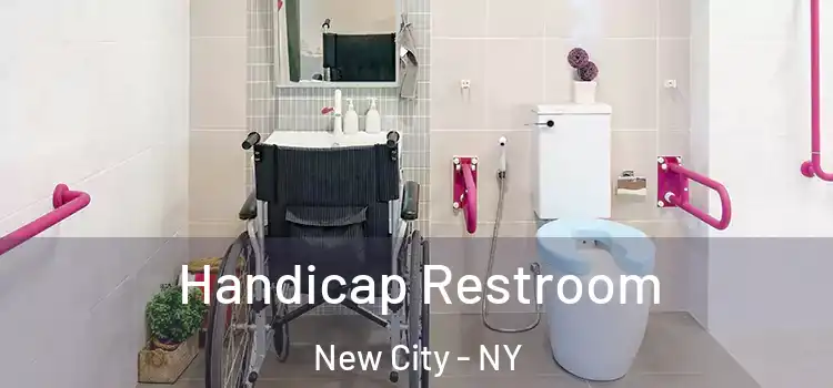 Handicap Restroom New City - NY