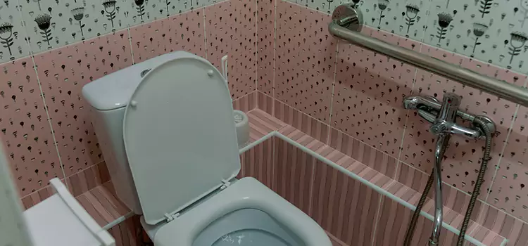 Meeting Diverse Needs With Accessible Restroom Solutions in New City, NY